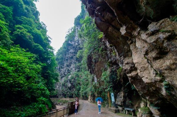 预见2024:《中国人工耳蜗行业全景图谱》(附市场规模、竞争格局和发展前景等)